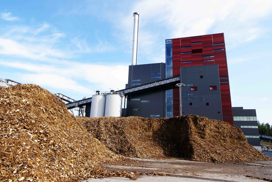 Biomass Energy