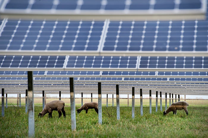 Solar is Helping California County Save Millions