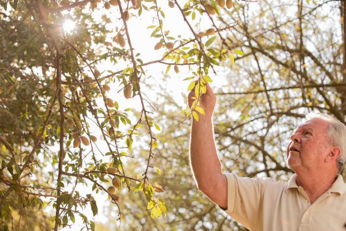 John Wynn, General Manager of Golden Empire Shelling, says switching to solar energy to power the almond processing plant in California will save the company millions.